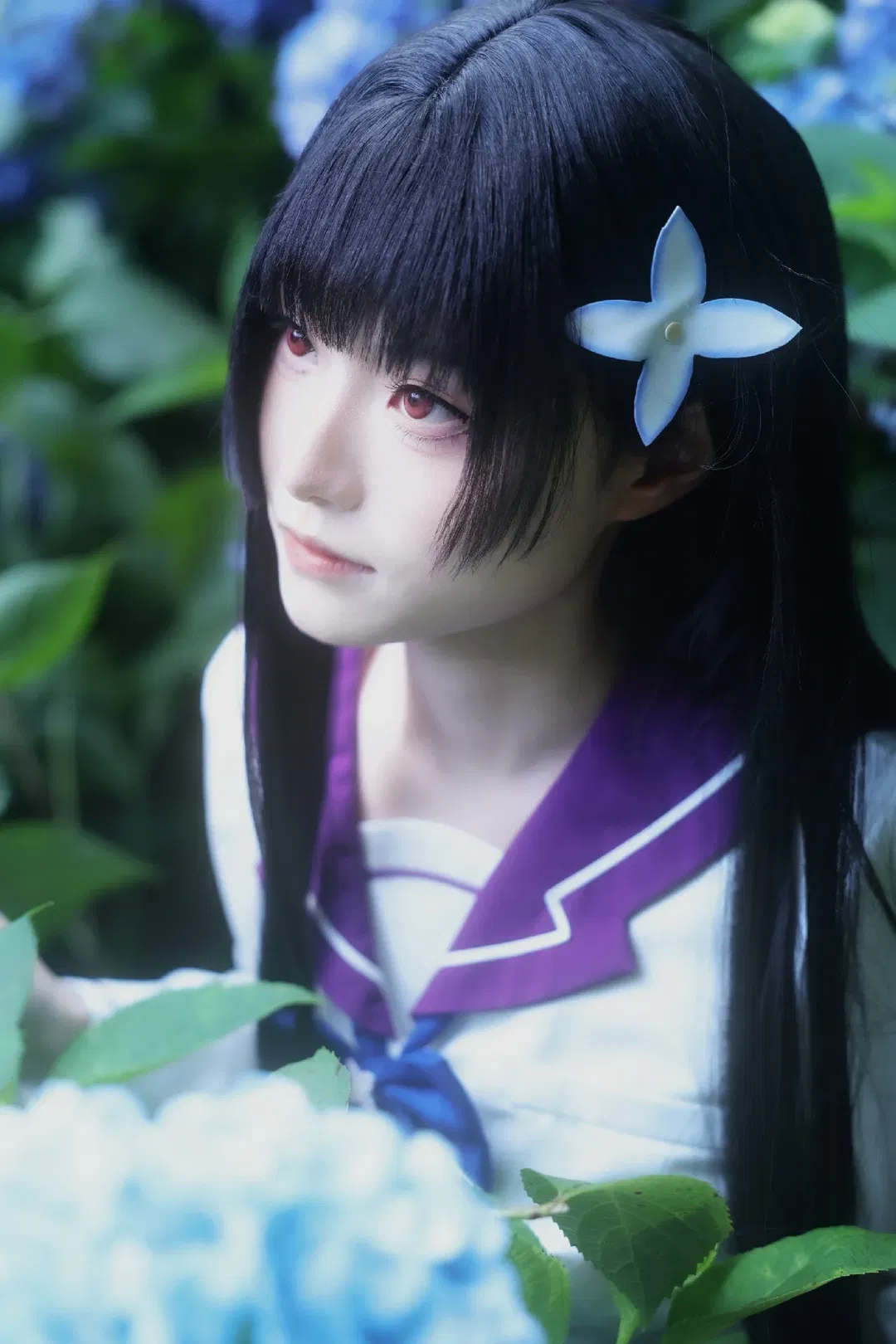 【散华礼弥cos】无尽夏绣球花丛中的经典水手服 - 第 4 张