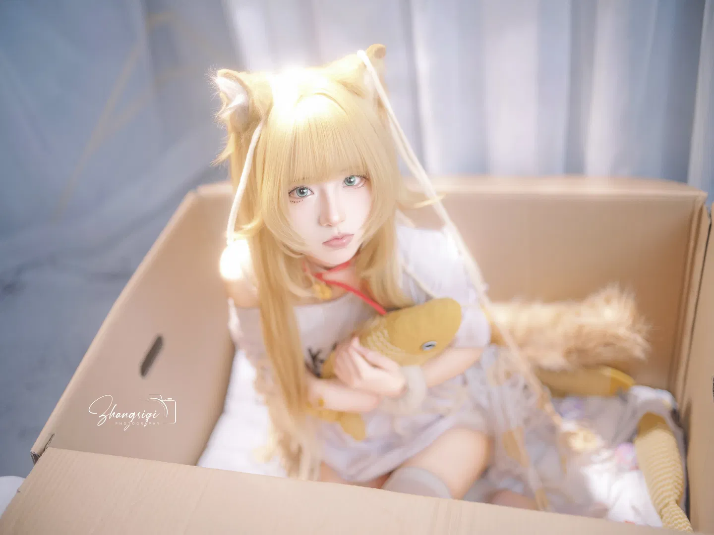 金发猫耳少女的纸箱阳光写真