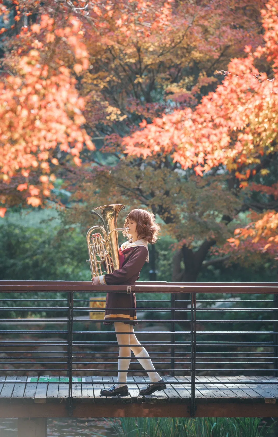 【黄前久美子cos】秋日枫叶下吹响上低音号的乐章 - 第 4 张