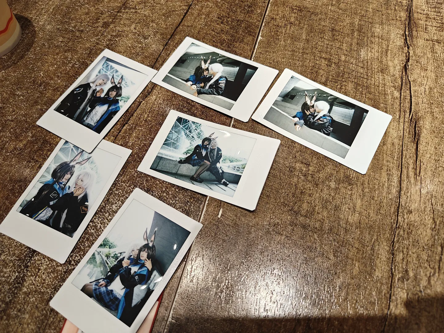 【阿米婭cos】明日方舟博兔向，家人與伴侶的溫馨記錄 - 第 3 張