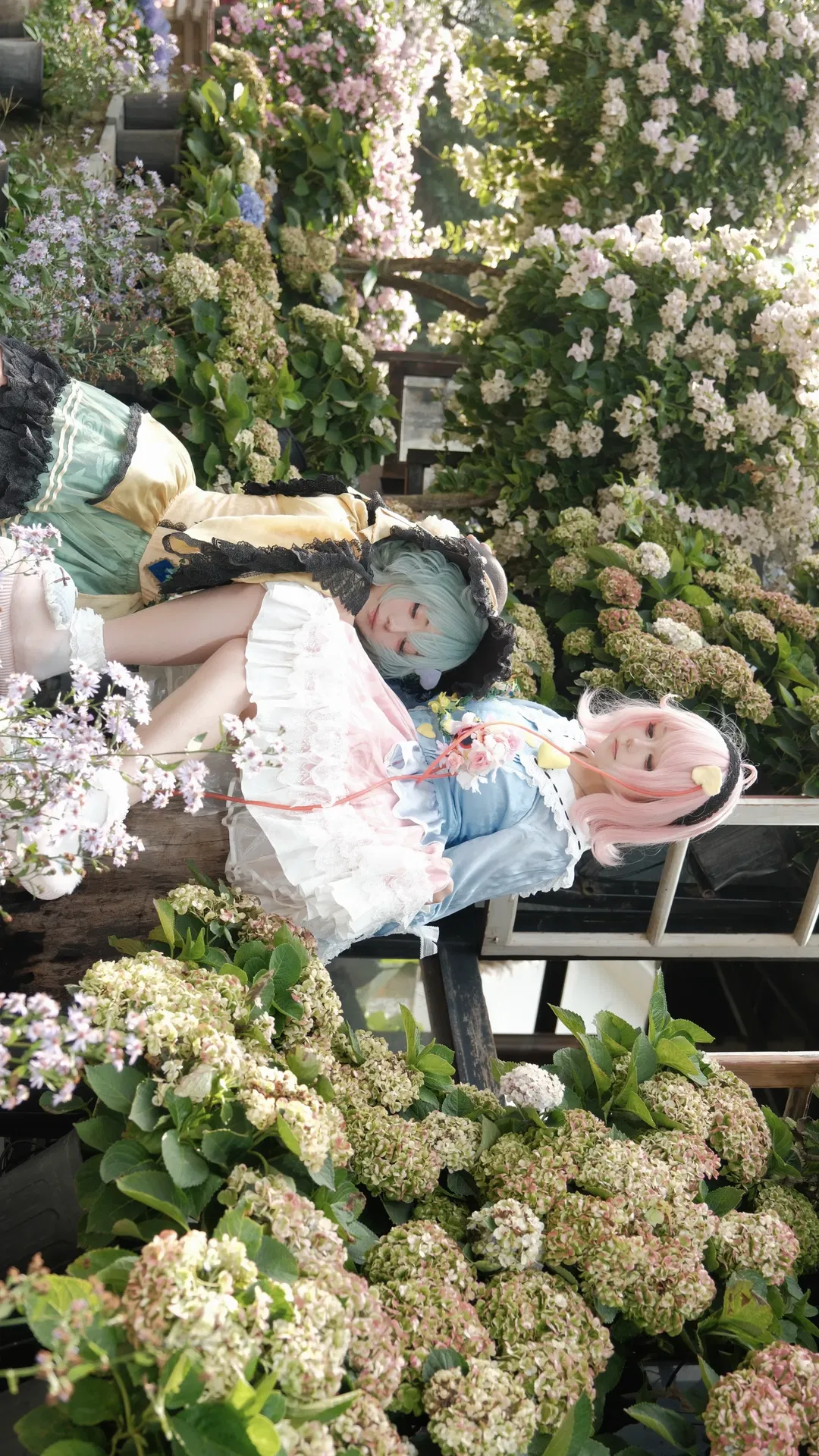【古明地觉cos】东方project地灵殿双子在花海 - 第 1 张