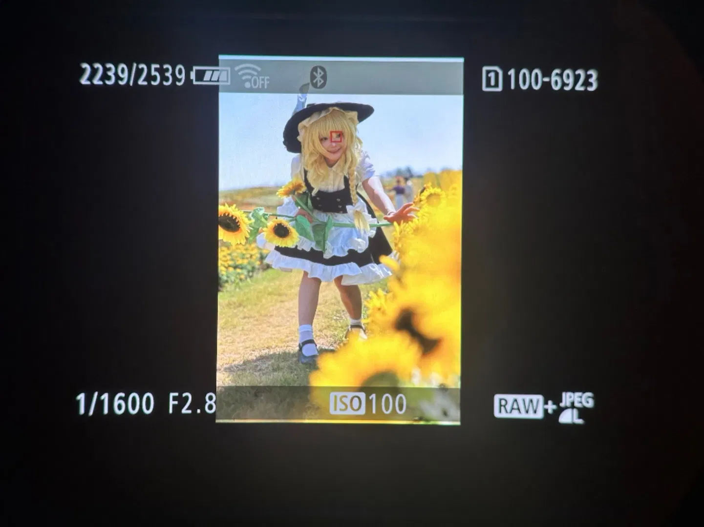 【魔理沙cos】向日葵花田里的黑白魔法使 - 第 10 张
