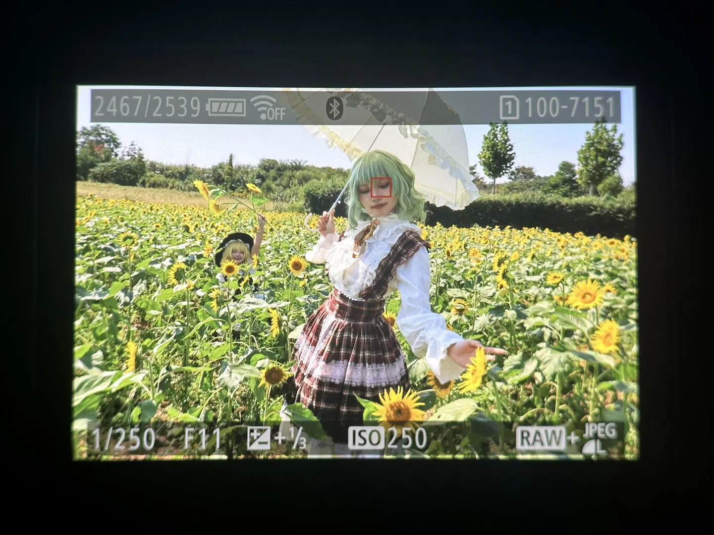 【魔理沙cos】向日葵花田里的黑白魔法使 - 第 13 张