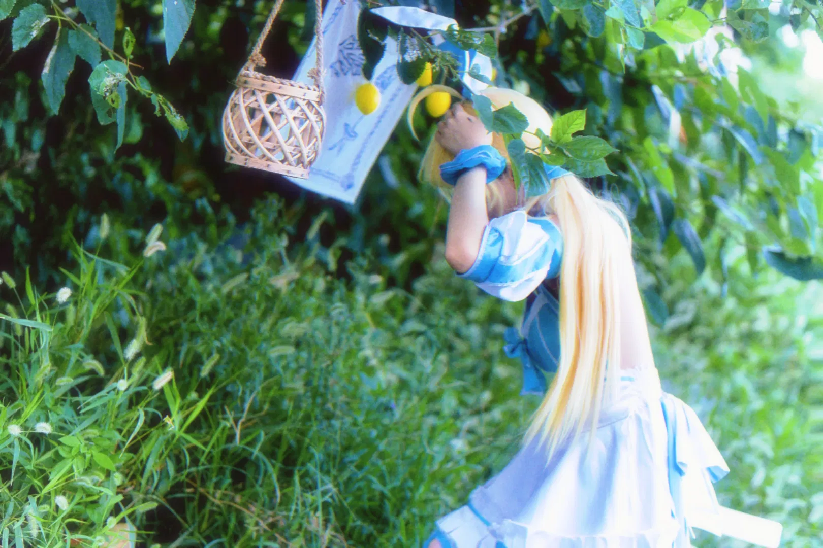 【阿尔托莉雅·卡斯特cos】FGO海边的夏日兔子 - 第 9 张