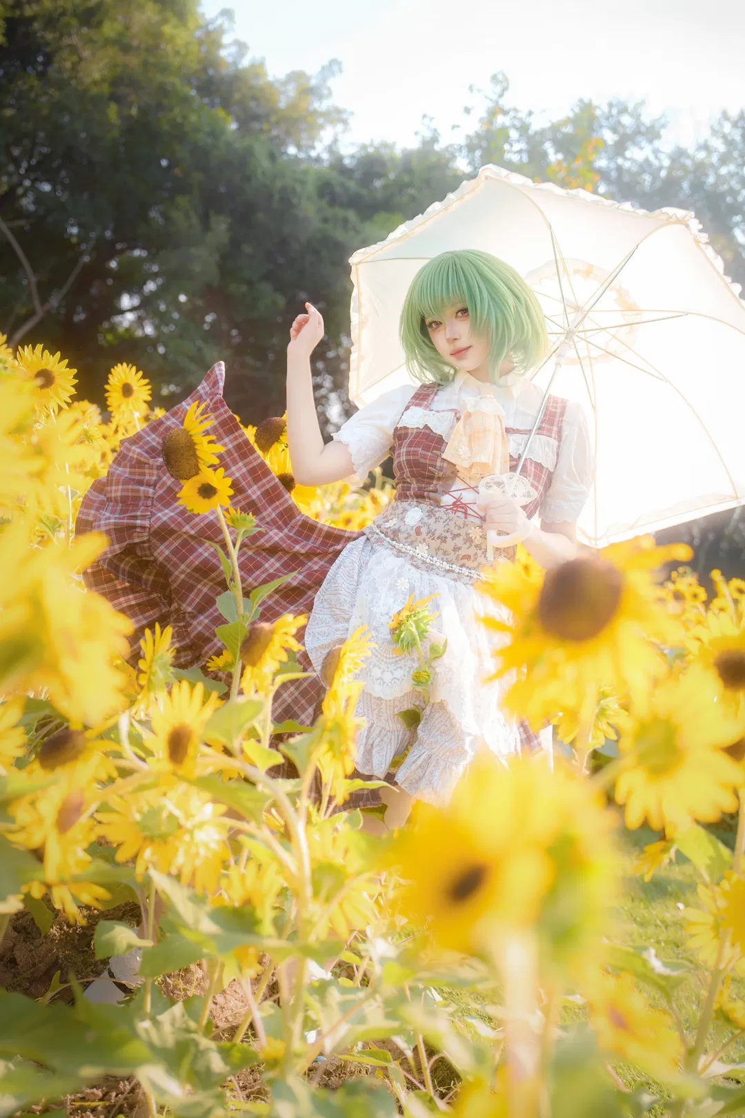 【風見幽香cos】在向日葵花海中感受花之妖怪的生命力 - 第 1 張