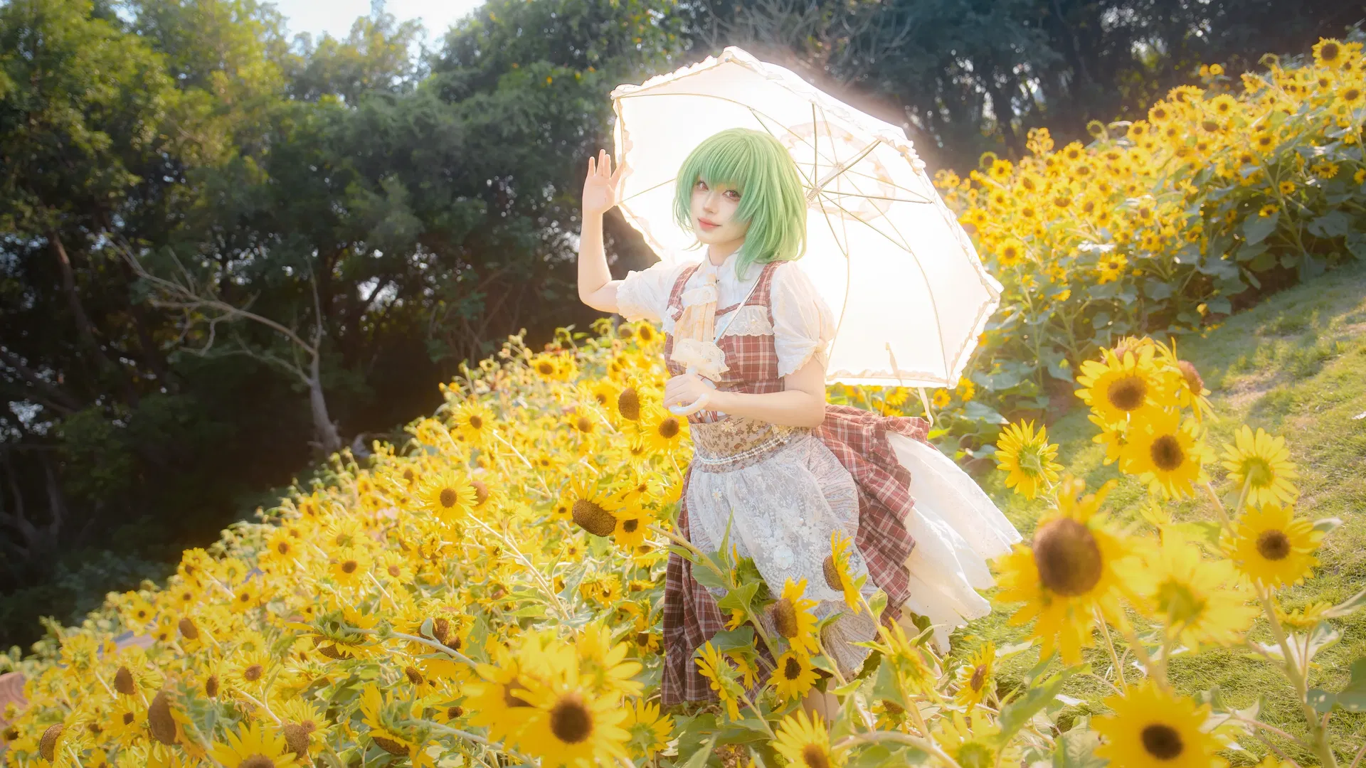【風見幽香cos】在向日葵花海中感受花之妖怪的生命力 - 第 6 張