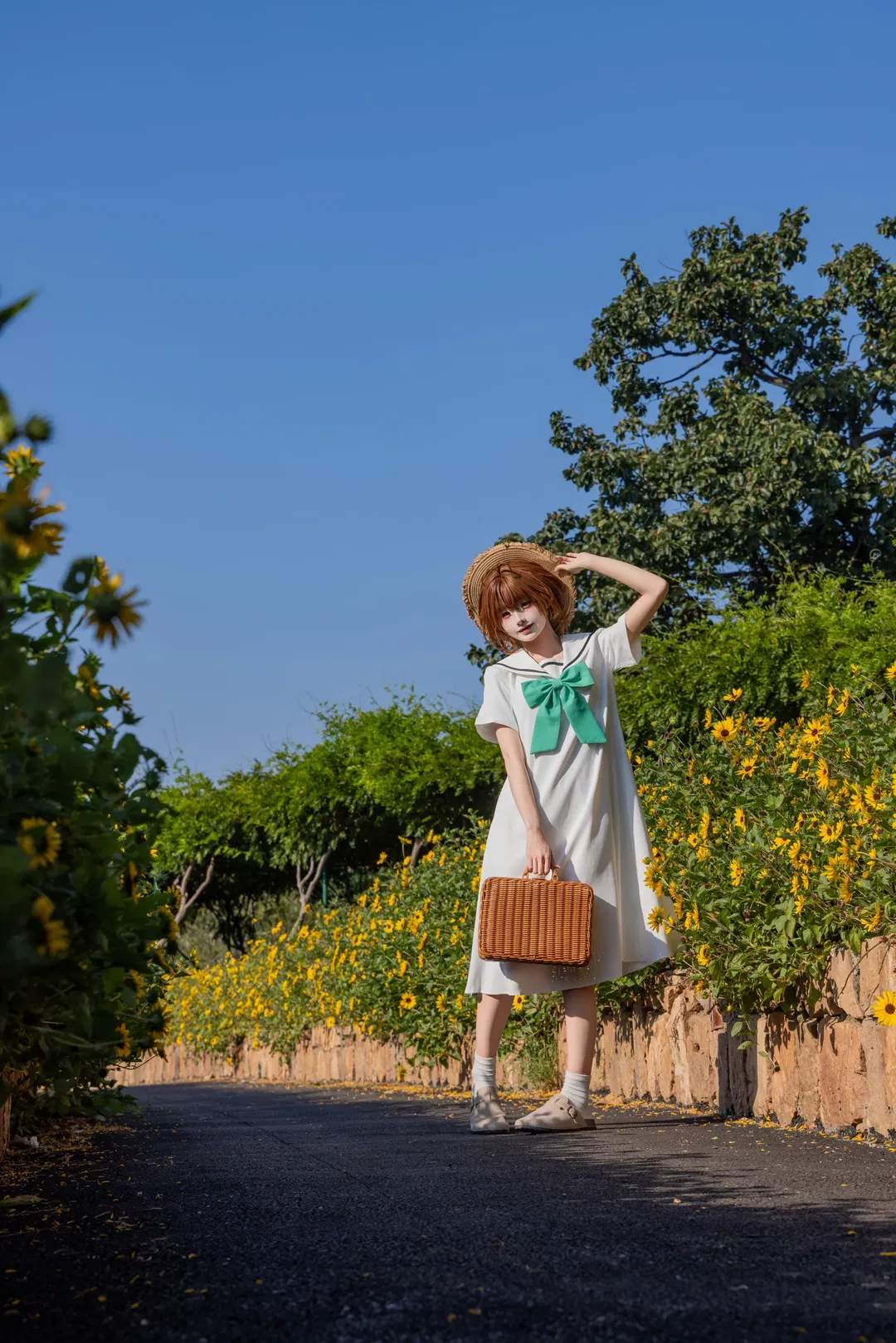 【木之本樱cos】魔卡少女樱的向日葵夏日 - 第 2 张