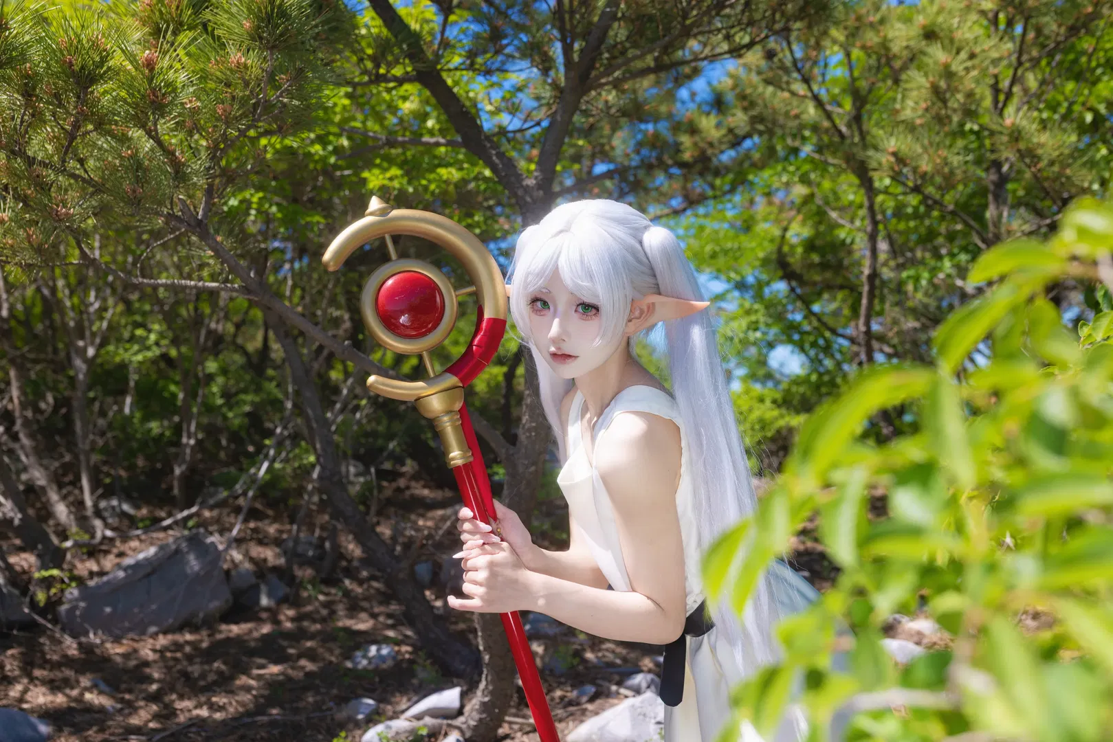 【芙莉莲cos】葬送的芙莉莲，漫步在温柔的森林 - 第 2 张