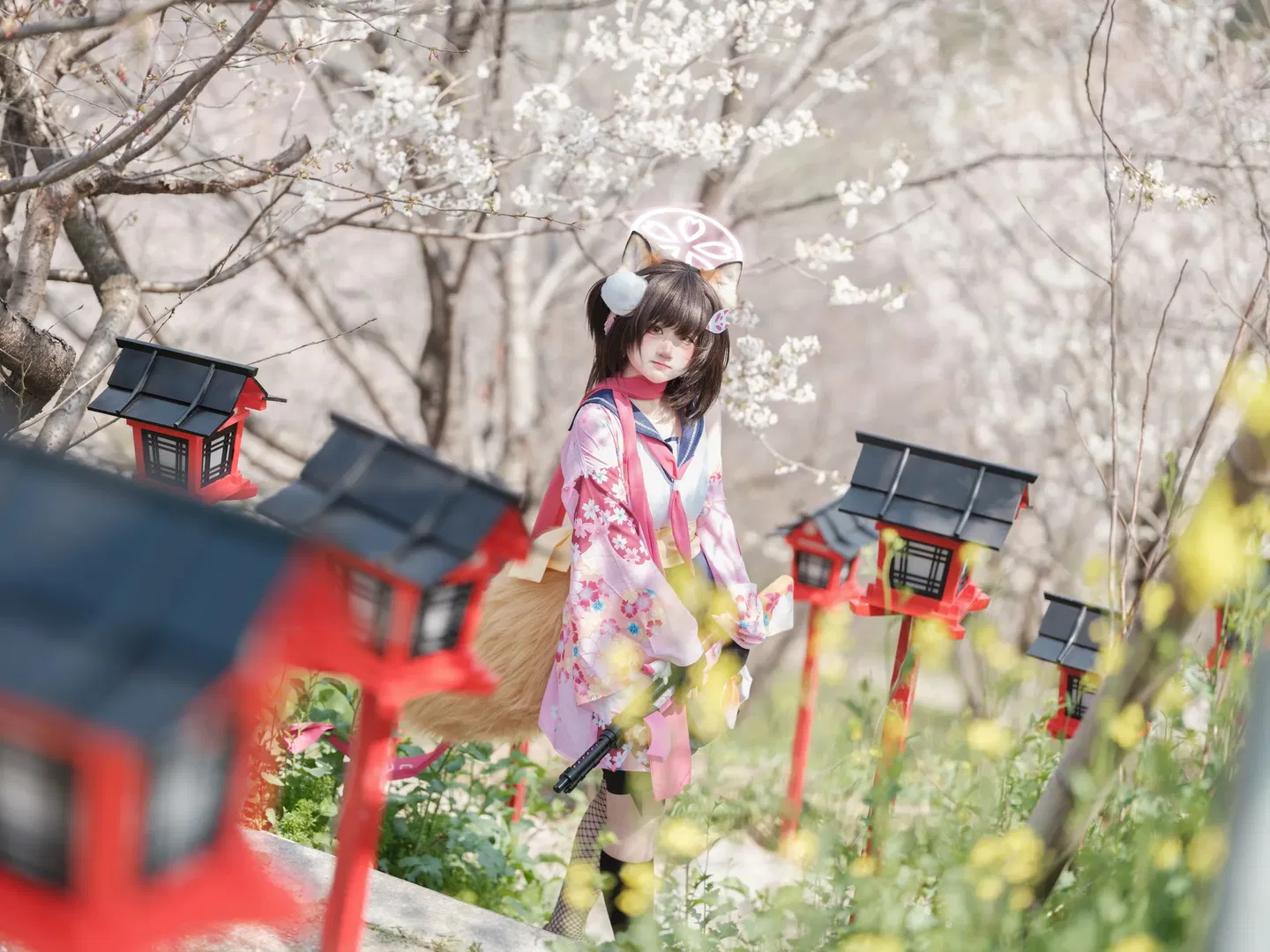 【久田泉奈cos】蔚藍檔案櫻花季的狐耳和風少女 - 第 4 張