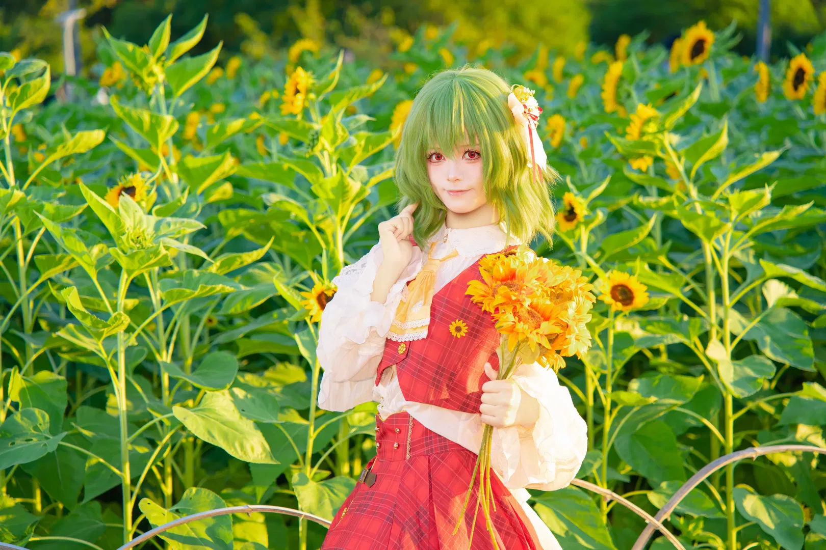 【风见幽香cos】向日葵花海里的优雅与自然 - 第 2 张