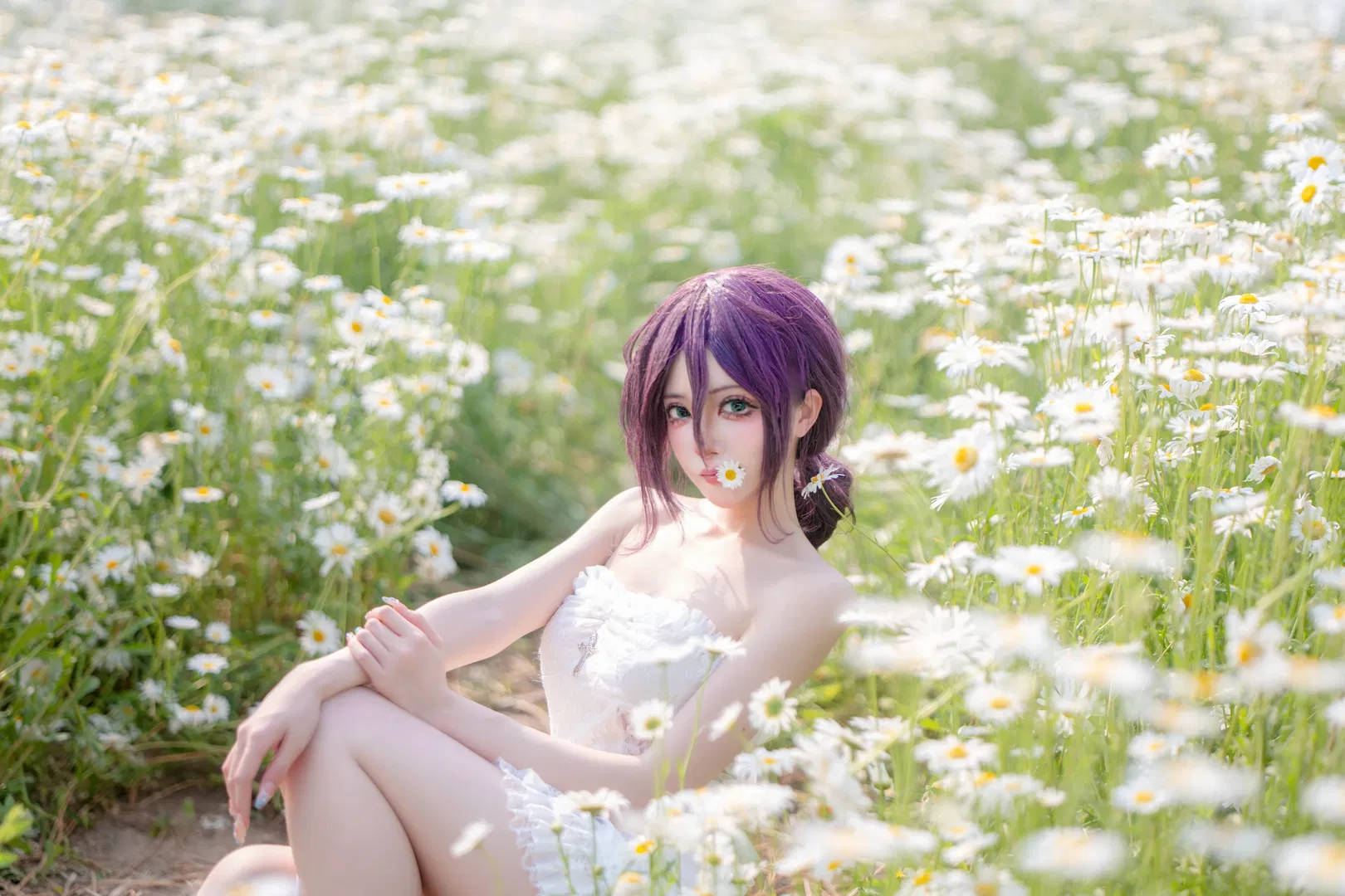 【蕾塞cos】电锯人白纱雏菊花海写真 - 第 4 张