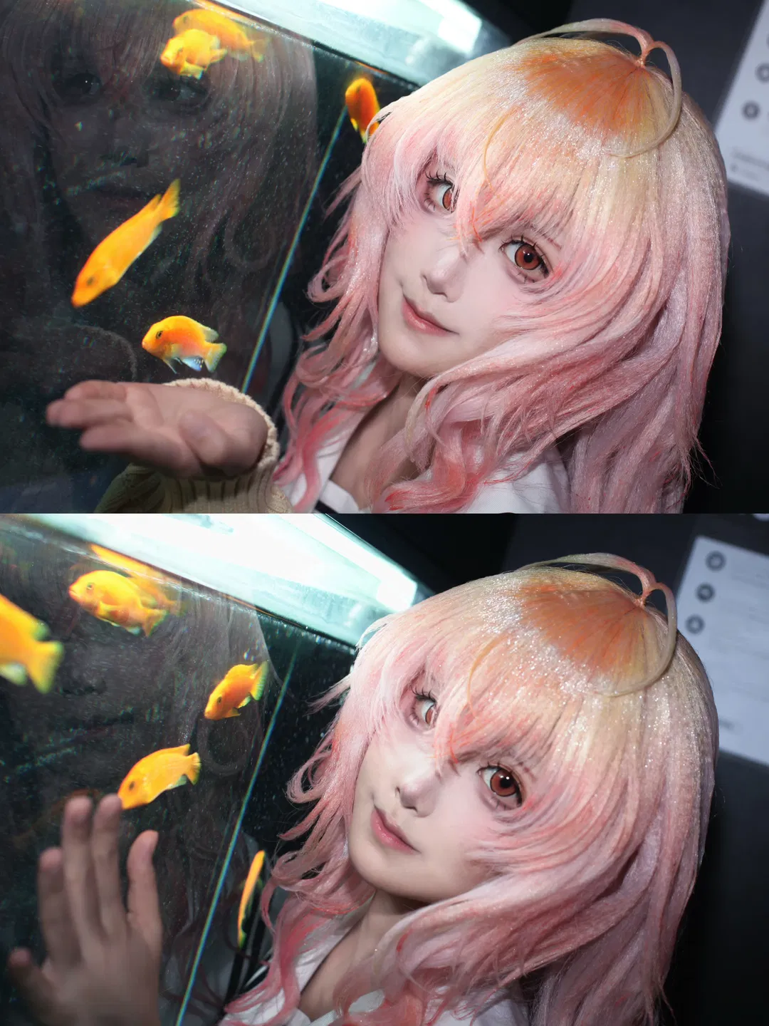【葵cos】君与彼女与彼女之恋，水族箱前定格七秒的心动 - 第 1 张