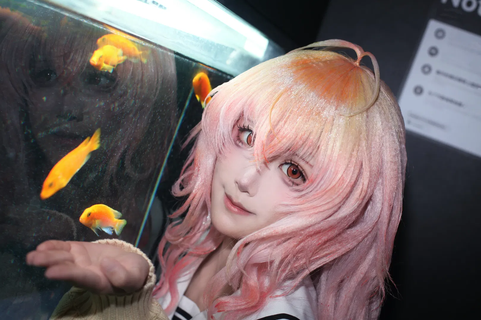 【葵cos】君与彼女与彼女之恋，水族箱前定格七秒的心动 - 第 2 张