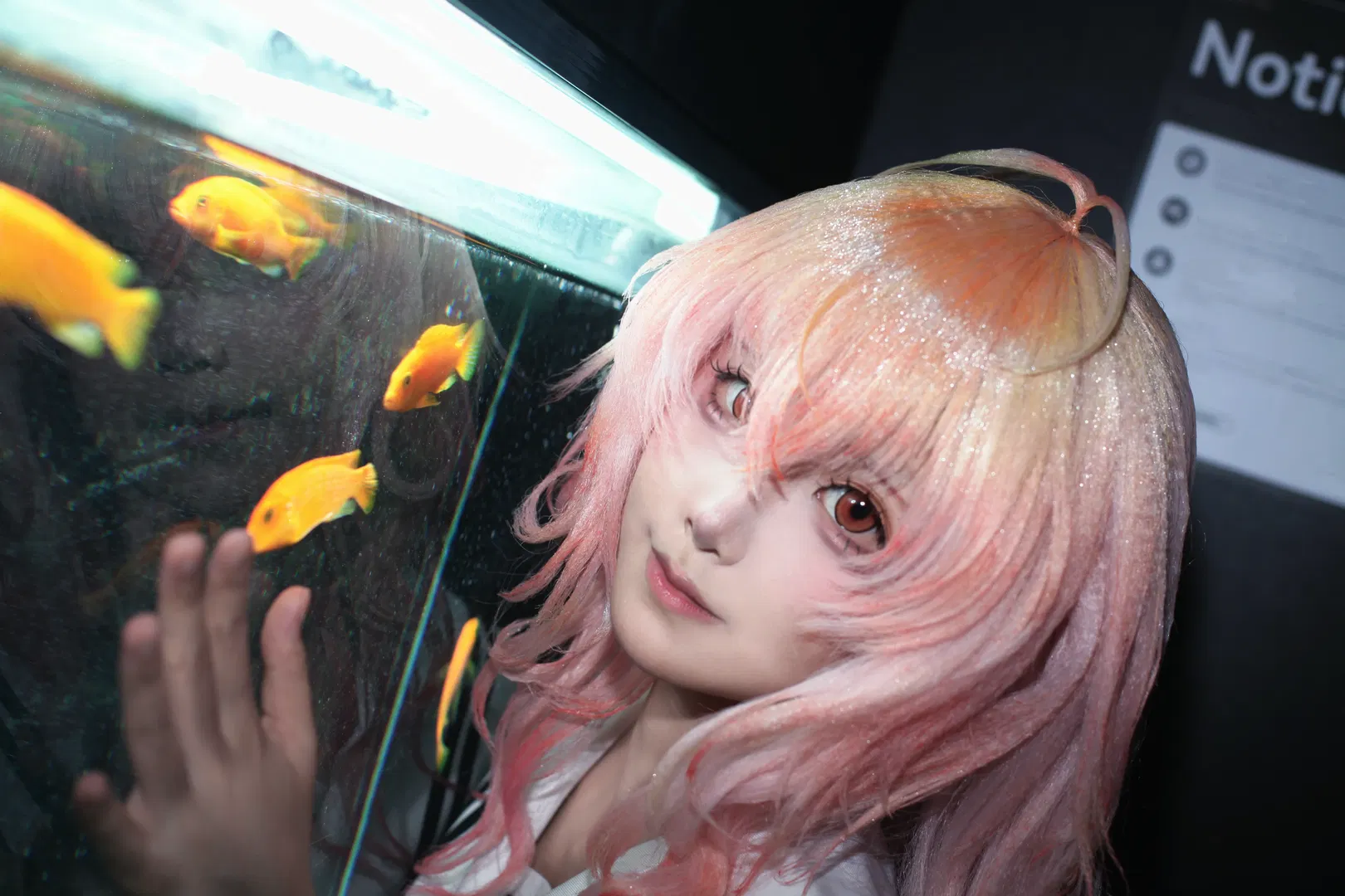 【葵cos】君与彼女与彼女之恋，水族箱前定格七秒的心动 - 第 3 张
