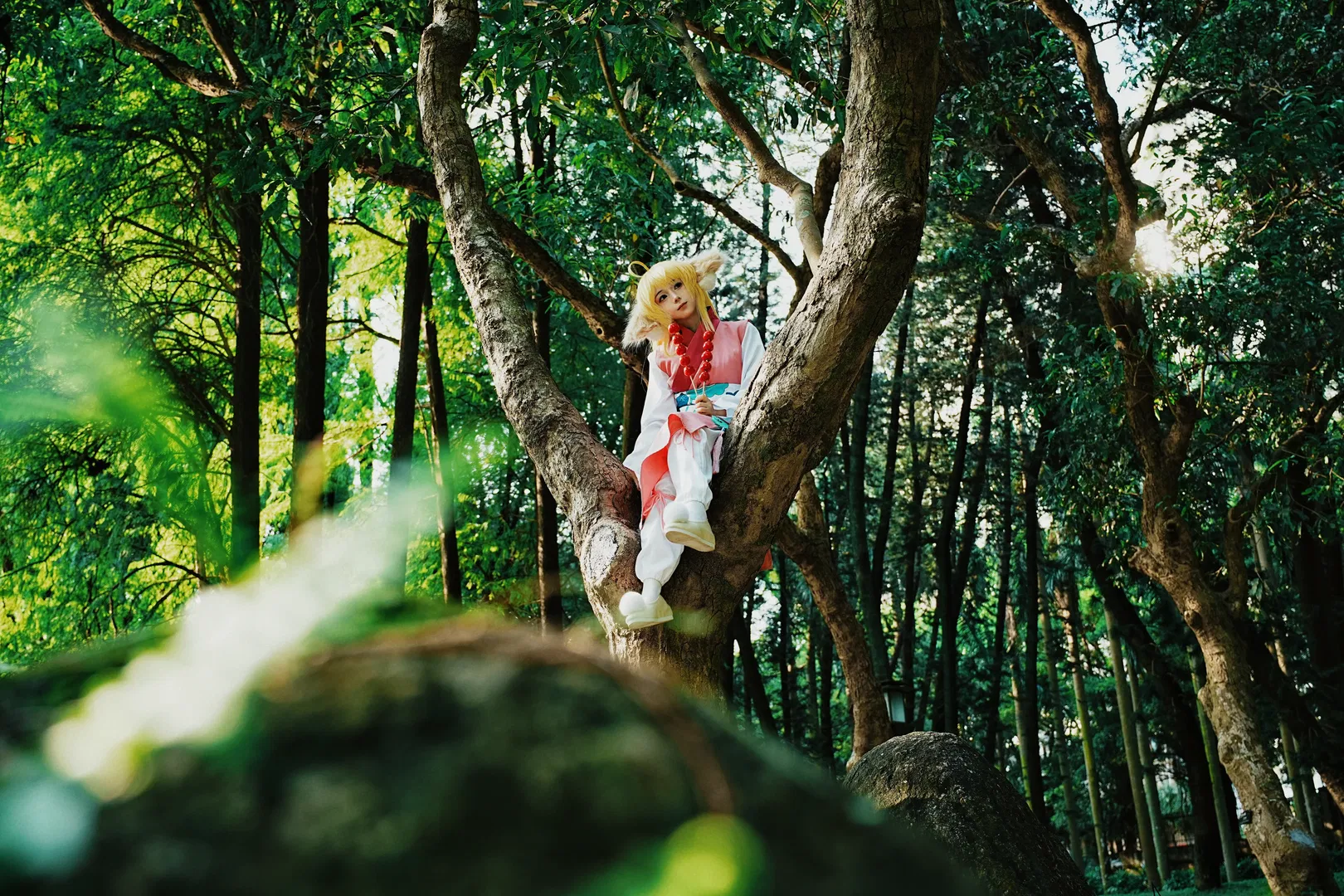 【塗山蘇蘇cos】狐妖小紅娘裡的可愛小吃貨 - 第 5 張